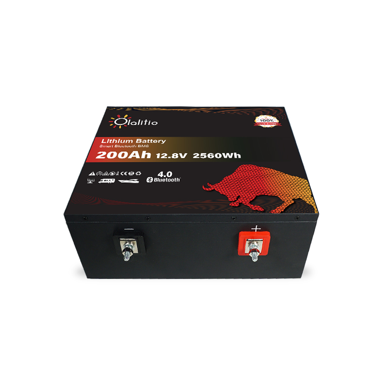 Batterie Lithium 200Ah 12.8V LiFePO4 Bluetooth-BMS unter dem Sitz